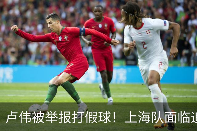 卢伟被举报打假球！上海队面临追罚，张镇麟坑惨球队